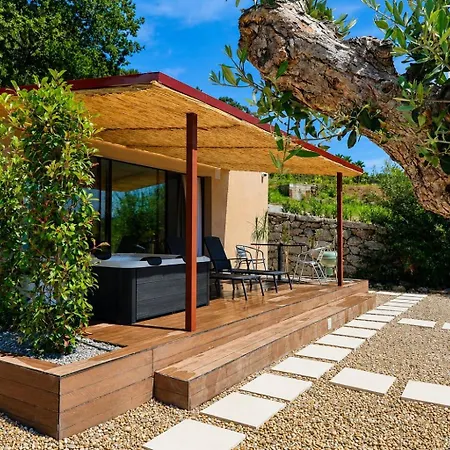 Casa vacanze Cattleya House