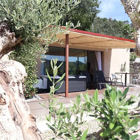 Casa vacanze Cattleya House *